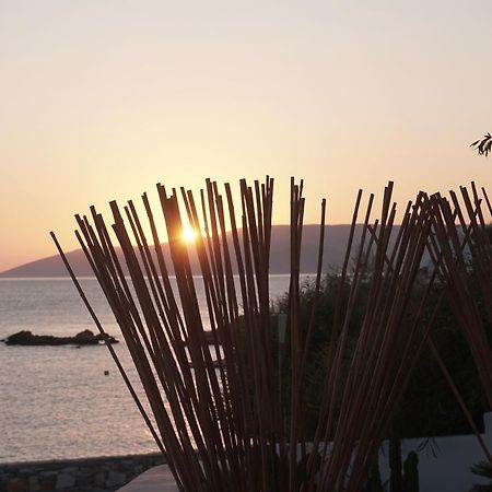 Pyrthea Houses Koufonisia Eksteriør bilde