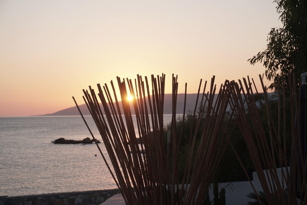Pyrthea Houses Koufonisia Eksteriør bilde